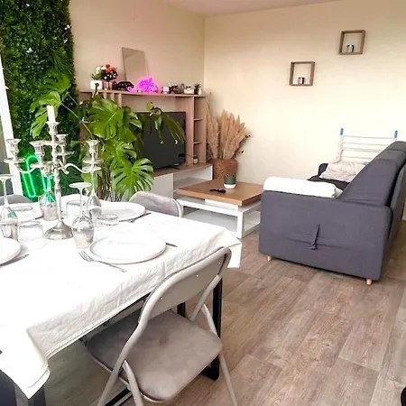 Apartment Proche Centre